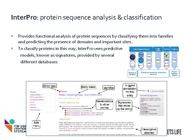 Inter. Pro: protein sequence analysis & classification • • Provides functional analysis of protein