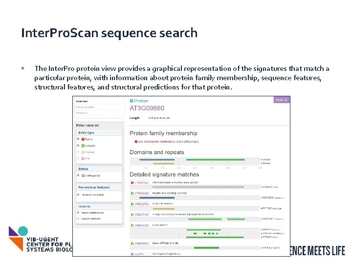 Inter. Pro. Scan sequence search • The Inter. Pro protein view provides a graphical