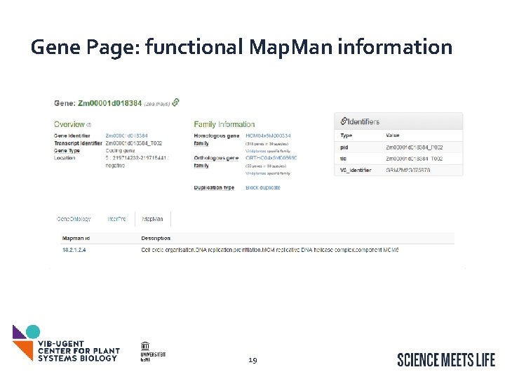Gene Page: functional Map. Man information 19 