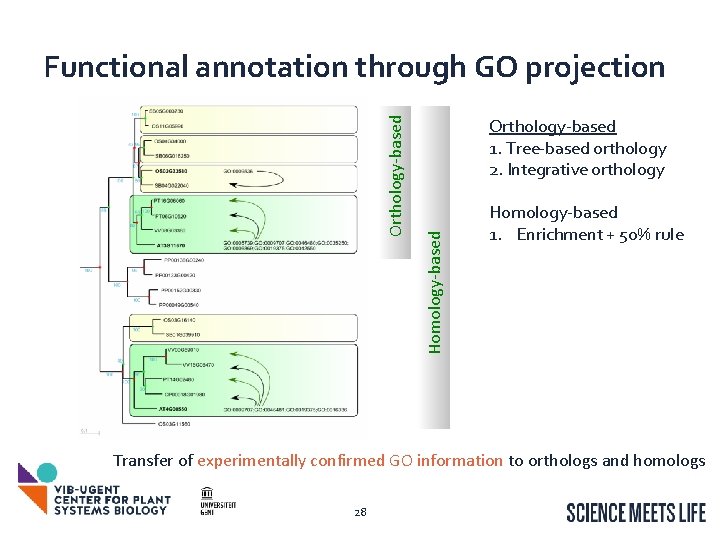 Orthology-based 1. Tree-based orthology 2. Integrative orthology Homology-based Orthology-based Functional annotation through GO projection