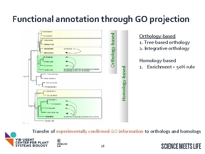 Orthology-based 1. Tree-based orthology 2. Integrative orthology Homology-based Orthology-based Functional annotation through GO projection Orthology-based 1. Tree-based orthology 2. Integrative orthology Homology-based Orthology-based Functional annotation through GO projection