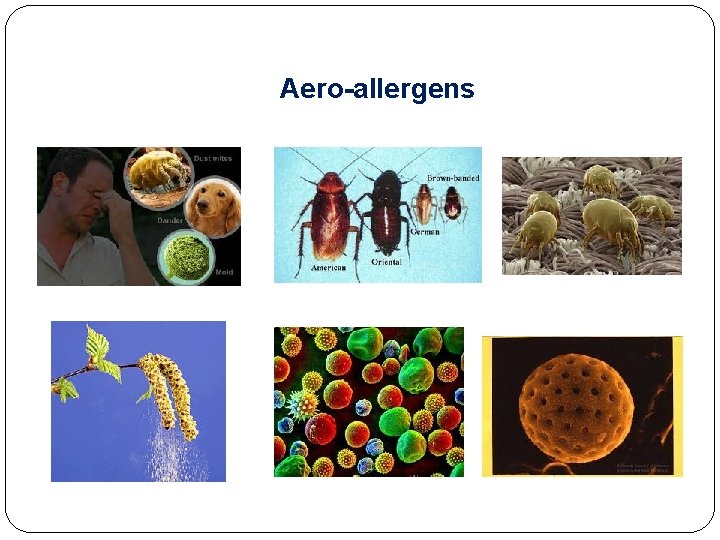 Aero-allergens 