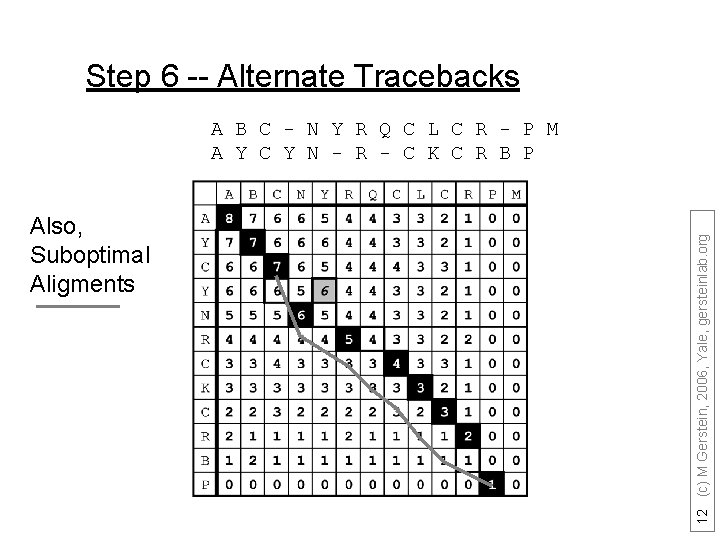 Step 6 -- Alternate Tracebacks Also, Suboptimal Aligments 12 (c) M Gerstein, 2006, Yale,