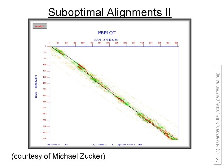 (courtesy of Michael Zucker) 14 (c) M Gerstein, 2006, Yale, gersteinlab. org Suboptimal Alignments