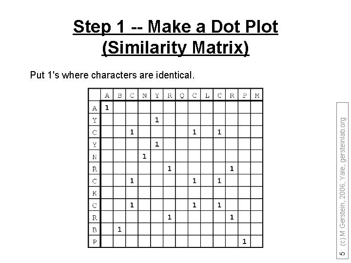 Step 1 -- Make a Dot Plot (Similarity Matrix) 5 (c) M Gerstein, 2006,