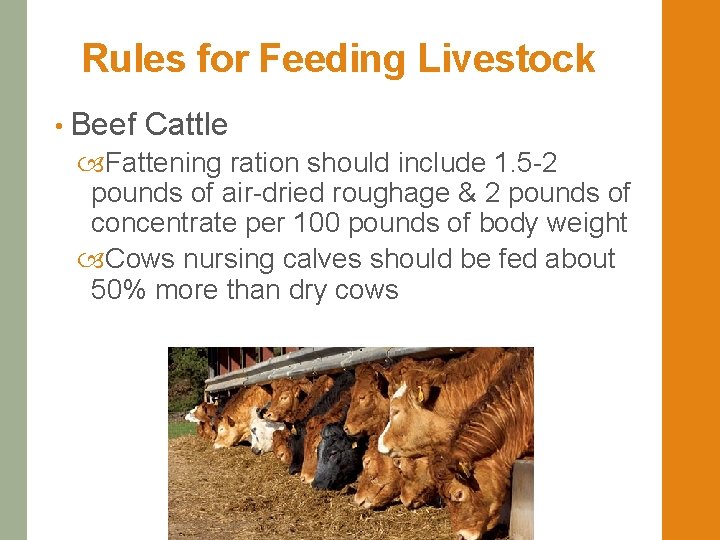 Objective 6 01 Apply Rations for Livestock Animals