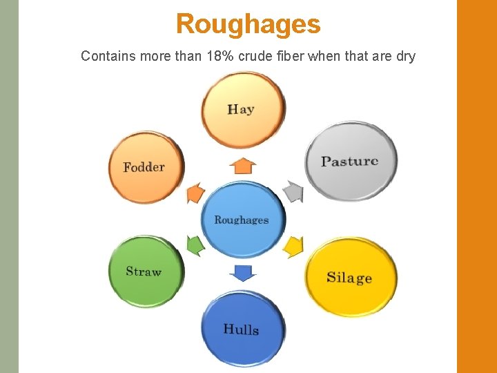 Roughages Contains more than 18% crude fiber when that are dry 