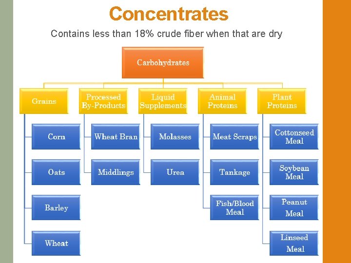 Concentrates Contains less than 18% crude fiber when that are dry 