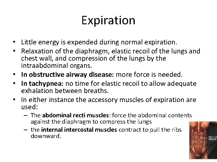 Expiration • Little energy is expended during normal expiration. • Relaxation of the diaphragm,