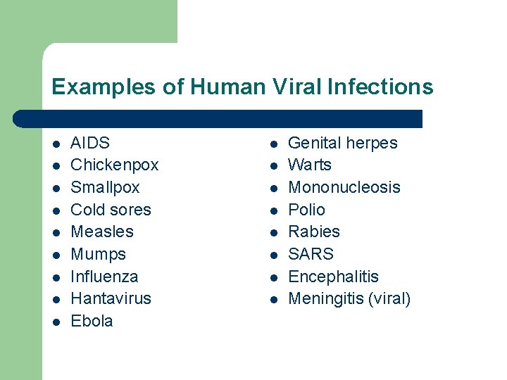 Examples of Human Viral Infections l l l l l AIDS Chickenpox Smallpox Cold