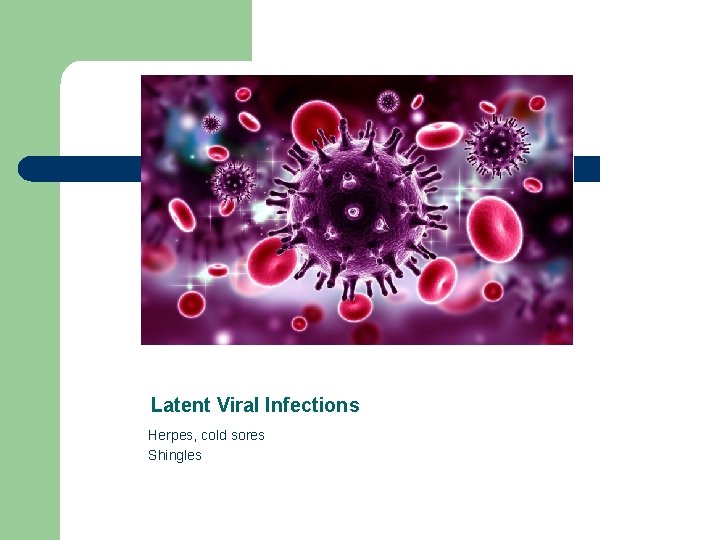 Latent Viral Infections Herpes, cold sores Shingles 