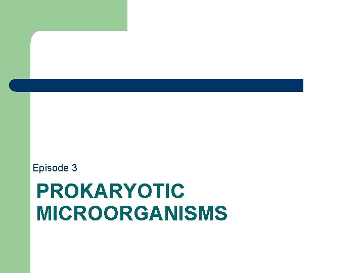 Episode 3 PROKARYOTIC MICROORGANISMS 