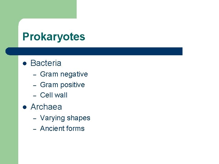 Prokaryotes l Bacteria – – – l Gram negative Gram positive Cell wall Archaea