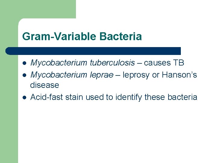 Gram-Variable Bacteria l l l Mycobacterium tuberculosis – causes TB Mycobacterium leprae – leprosy