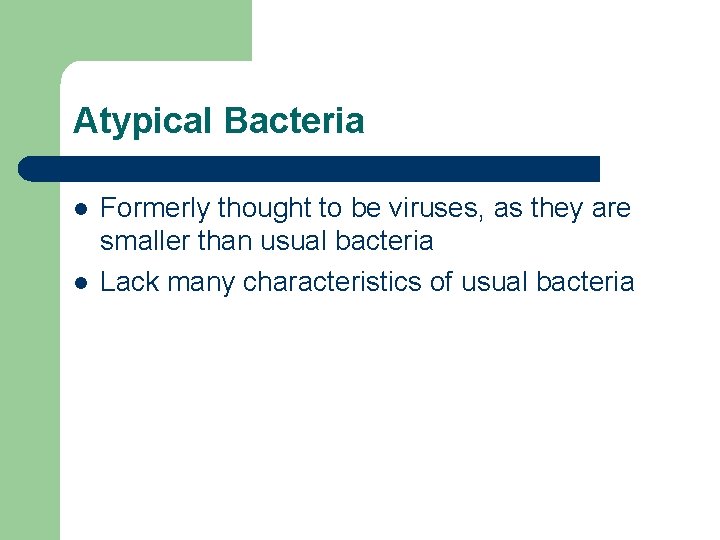 Atypical Bacteria l l Formerly thought to be viruses, as they are smaller than