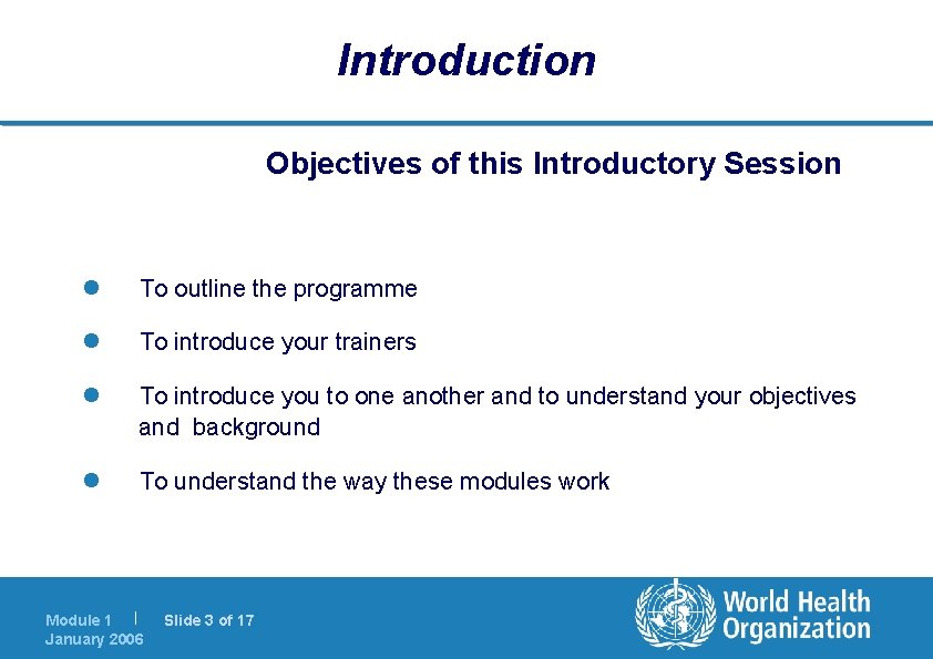 Introduction Objectives of this Introductory Session l To outline the programme l To introduce