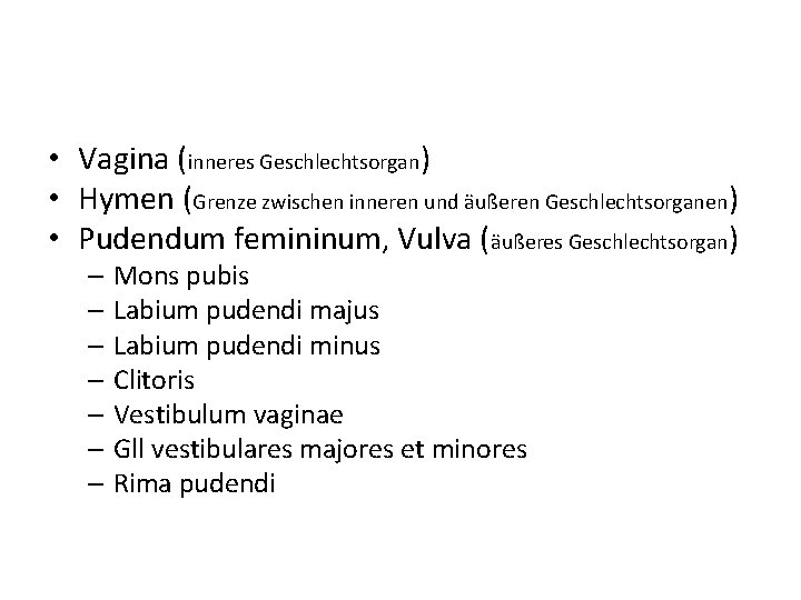  • Vagina (inneres Geschlechtsorgan) • Hymen (Grenze zwischen inneren und äußeren Geschlechtsorganen) •