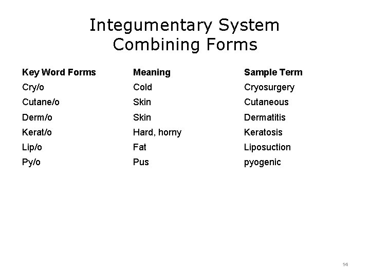 Integumentary System Combining Forms Key Word Forms Meaning Sample Term Cry/o Cold Cryosurgery Cutane/o