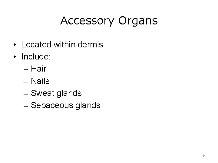 Accessory Organs • Located within dermis • Include: – Hair – Nails – Sweat