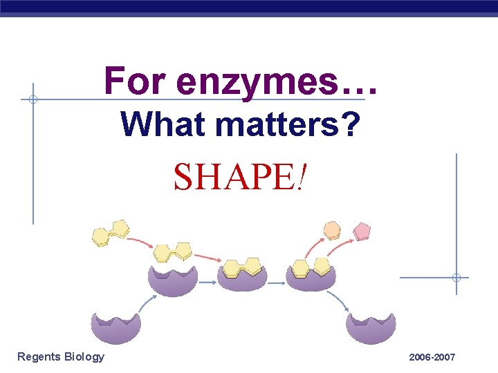 For enzymes… What matters? SHAPE! Regents Biology 2006 -2007 