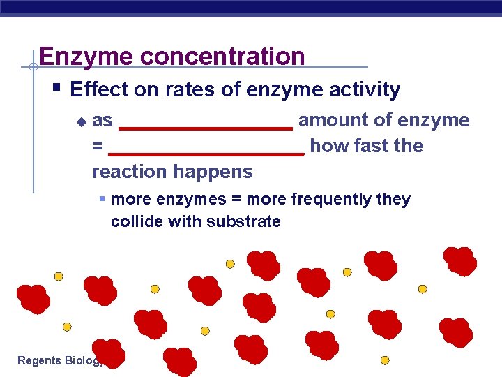 Enzyme concentration § Effect on rates of enzyme activity u as ________ amount of