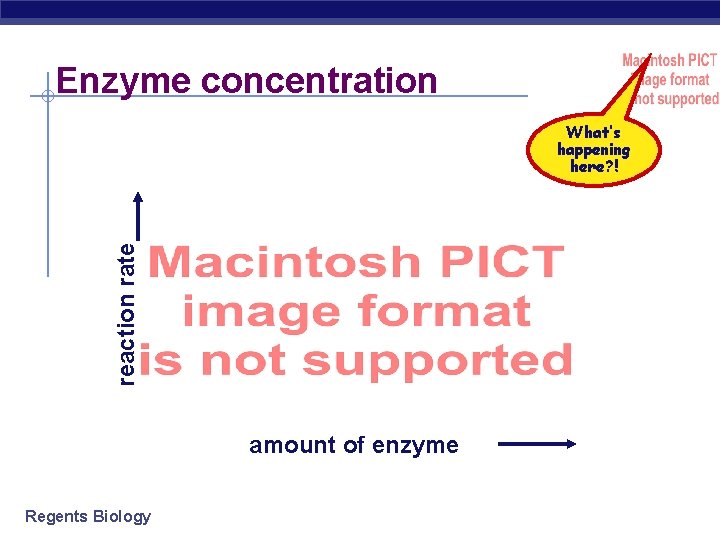 Enzyme concentration reaction rate What’s happening here? ! amount of enzyme Regents Biology 