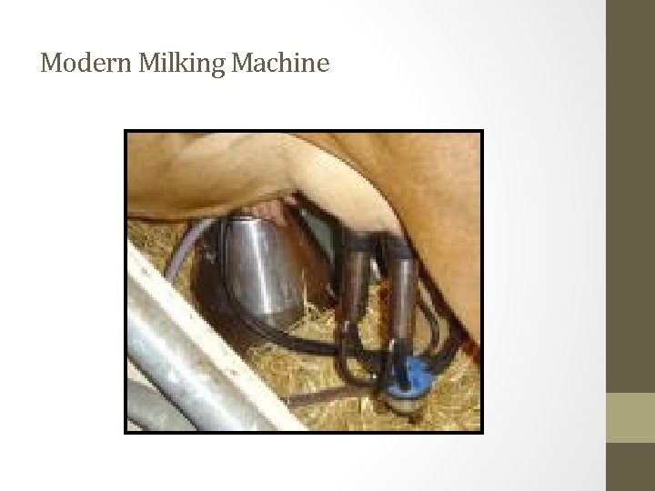 Modern Milking Machine 