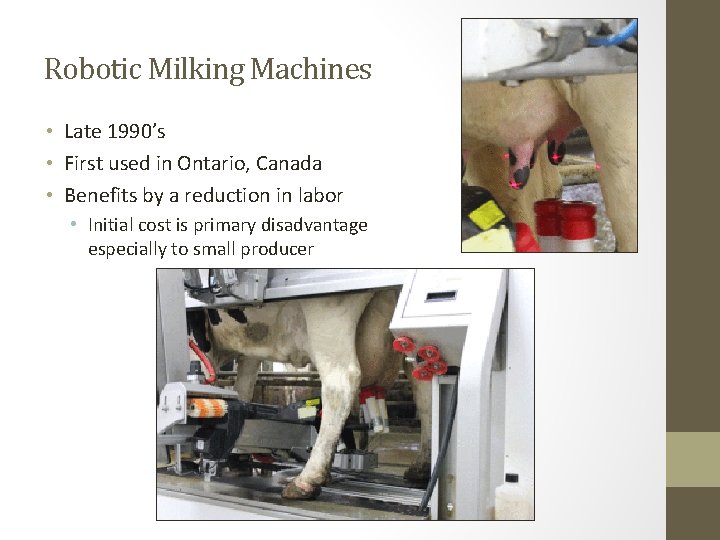 Robotic Milking Machines • Late 1990’s • First used in Ontario, Canada • Benefits