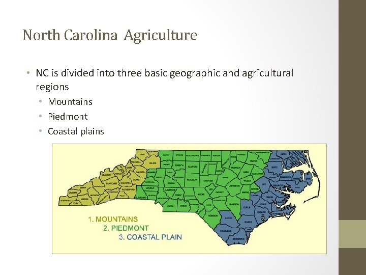 North Carolina Agriculture • NC is divided into three basic geographic and agricultural regions