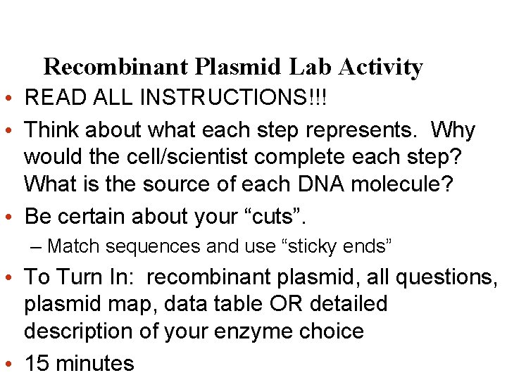 Recombinant Plasmid Lab Activity • READ ALL INSTRUCTIONS!!! • Think about what each step