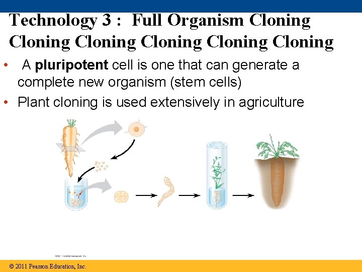 Technology 3 : Full Organism Cloning Cloning • A pluripotent cell is one that