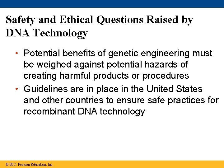 Safety and Ethical Questions Raised by DNA Technology • Potential benefits of genetic engineering