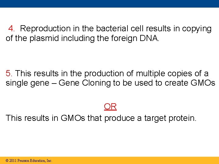 4. Reproduction in the bacterial cell results in copying of the plasmid including the