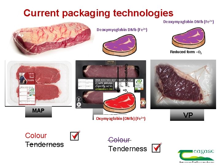 Current packaging technologies Deoxymyoglobin DMb (Fe 2+) Reduced form –O 2 Oxygenation +O 2