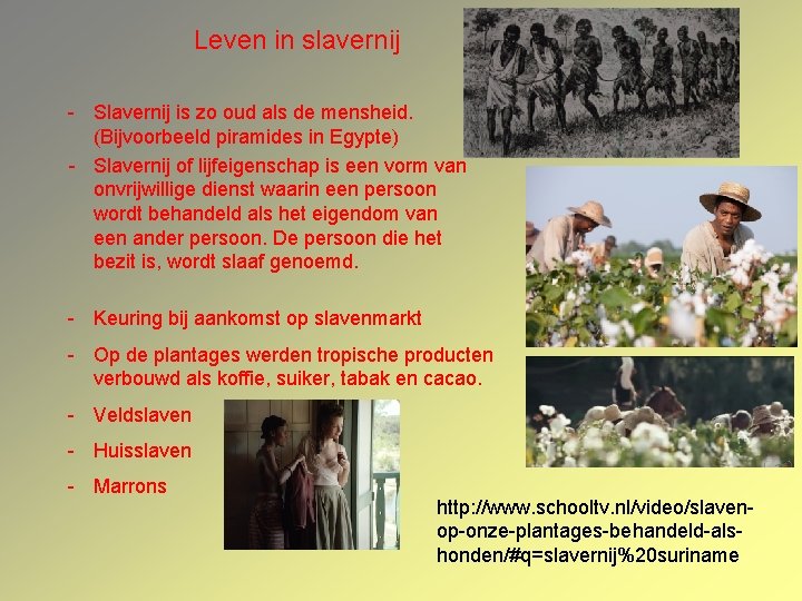 Leven in slavernij - Slavernij is zo oud als de mensheid. (Bijvoorbeeld piramides in