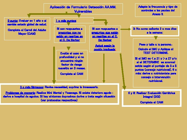 Aplicación de Formulario Detección AA. MM. Vulnerables 0 punto: Evaluar en 1 año o