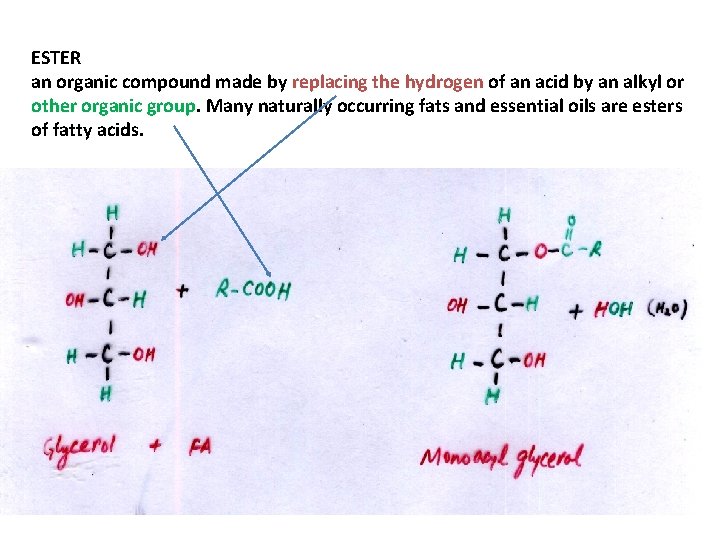 ESTER an organic compound made by replacing the hydrogen of an acid by an