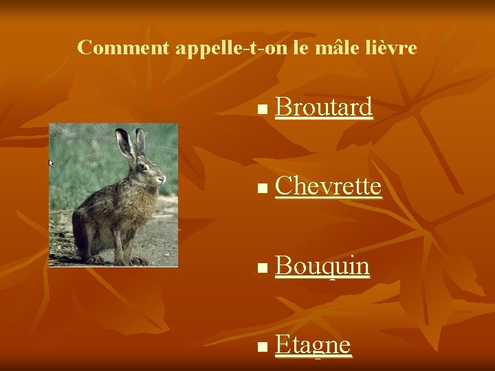 Comment appelle-t-on le mâle lièvre n Broutard n Chevrette n Bouquin n Etagne 