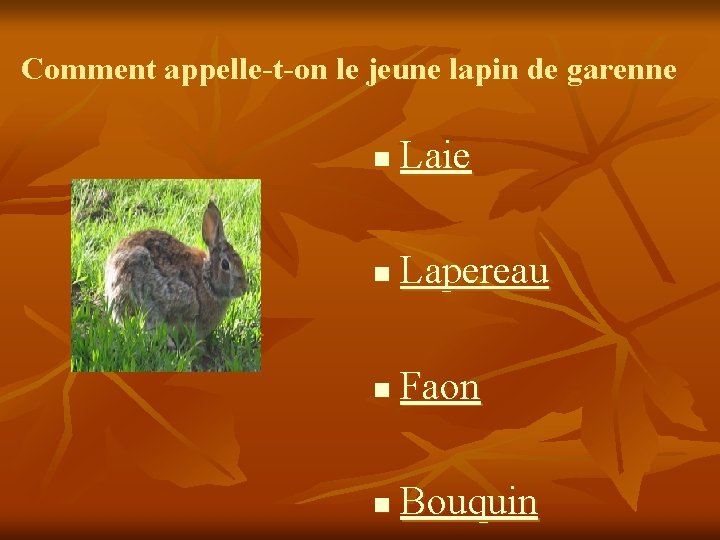 Comment appelle-t-on le jeune lapin de garenne n Laie n Lapereau n Faon n