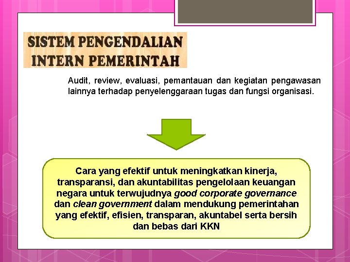 Audit, review, evaluasi, pemantauan dan kegiatan pengawasan lainnya terhadap penyelenggaraan tugas dan fungsi organisasi.