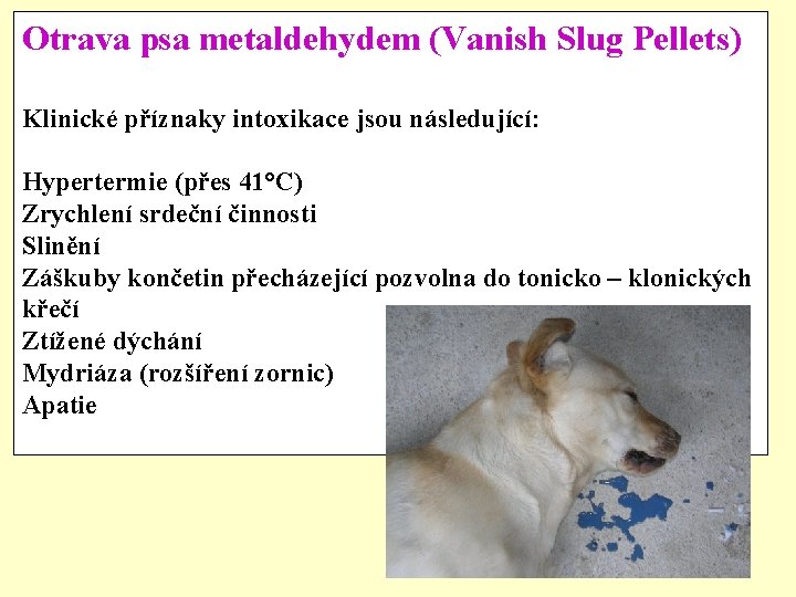 Otrava psa metaldehydem (Vanish Slug Pellets) Klinické příznaky intoxikace jsou následující: Hypertermie (přes 41°C)