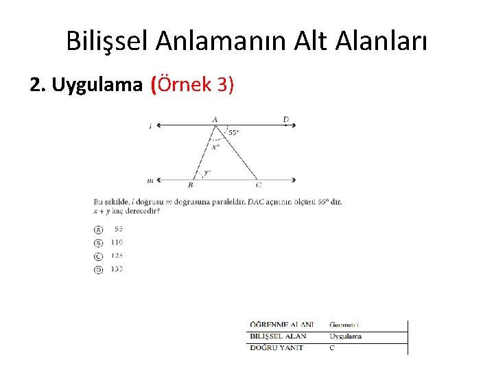 Bilişsel Anlamanın Alt Alanları 2. Uygulama (Örnek 3) 