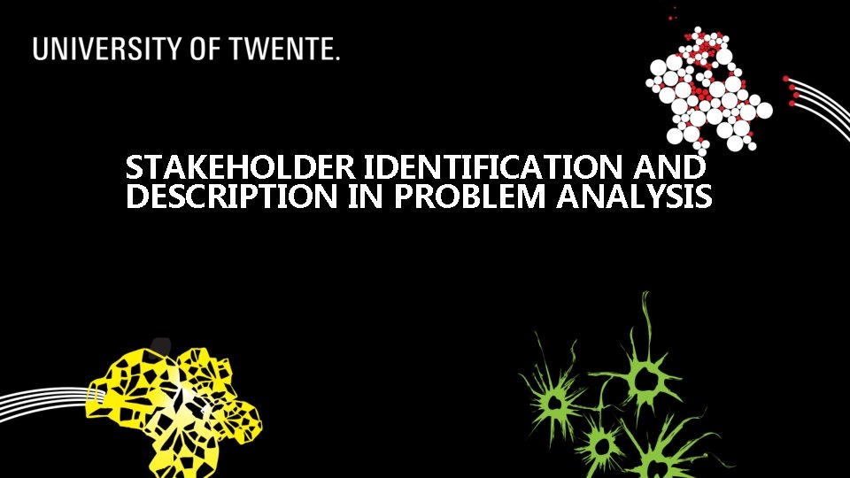 STAKEHOLDER IDENTIFICATION AND DESCRIPTION IN PROBLEM ANALYSIS 