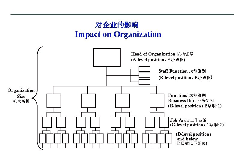 对企业的影响 Impact on Organization Head of Organization 机构领导 (A-level positions A级职位) Staff Function 功能组别