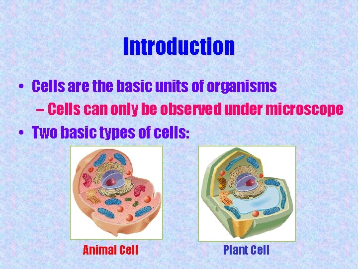 Introduction • Cells are the basic units of organisms – Cells can only be