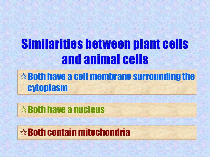 Similarities between plant cells and animal cells ¶Both have a cell membrane surrounding the