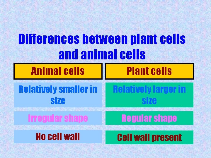 Differences between plant cells and animal cells Animal cells Plant cells Relatively smaller in