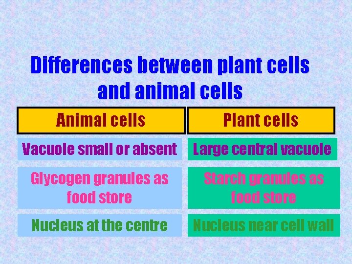 Differences between plant cells and animal cells Animal cells Plant cells Vacuole small or