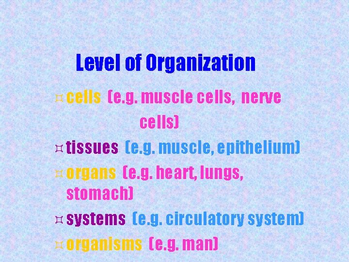 Level of Organization ³ cells (e. g. muscle cells, nerve cells) ³ tissues (e.