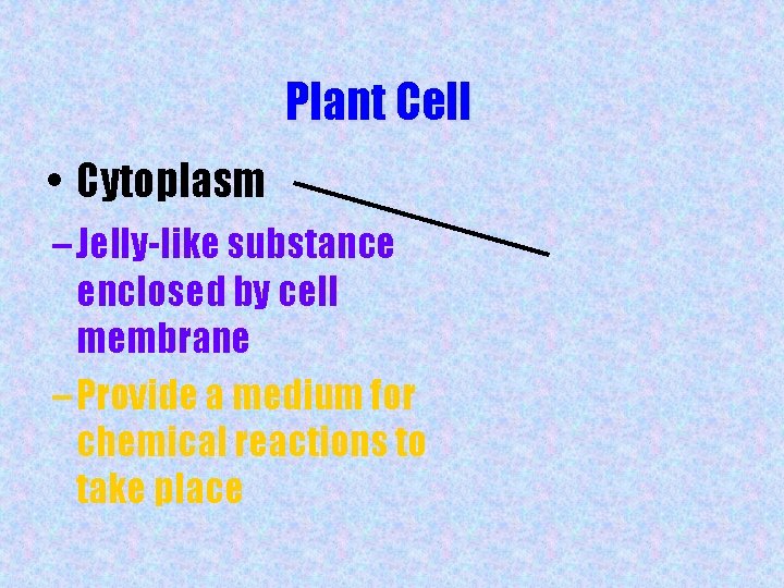 Plant Cell • Cytoplasm – Jelly-like substance enclosed by cell membrane – Provide a